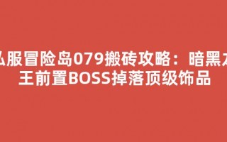 私服冒险岛079搬砖攻略：暗黑龙王前置BOSS掉落顶级饰品